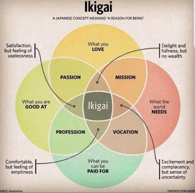 22552573_2367349713490980_6796468018788267592_n